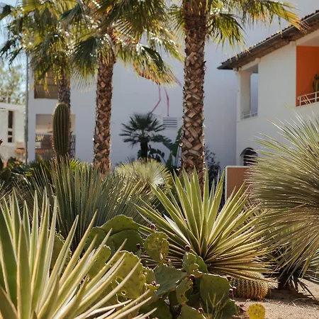 Casarose - Cannes Hotel